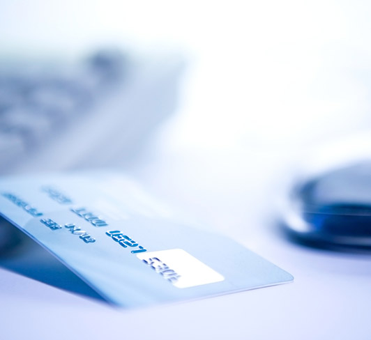 meet-the-team meet-the-team